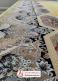 فرش صادراتی 1200 شانه طرح هالیدی