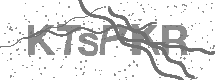 captcha_image_title